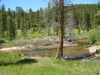 Enlarge photo 74