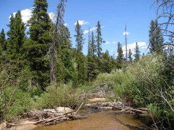 Enlarge photo 79