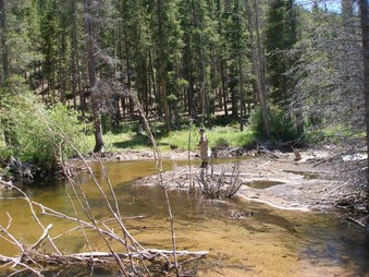 Enlarge photo 81