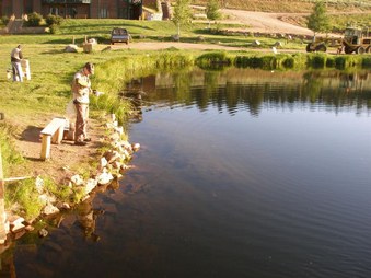 Enlarge photo 95