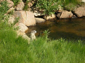 Enlarge photo 102
