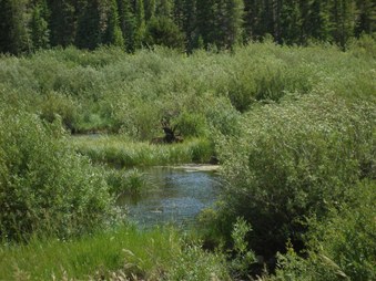 Enlarge photo 106