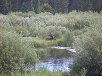 Enlarge photo 107