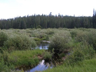 Enlarge photo 108