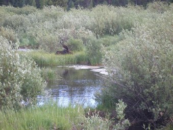 Enlarge photo 109