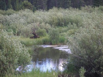 Enlarge photo 110