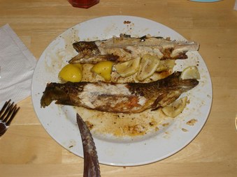 Enlarge photo 125