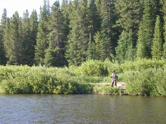 Enlarge photo 153