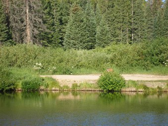 Enlarge photo 159