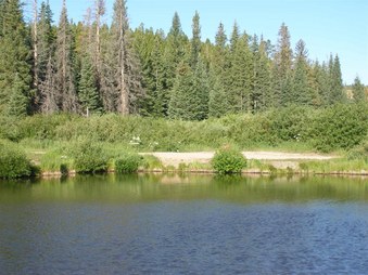 Enlarge photo 160