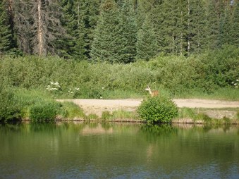 Enlarge photo 162