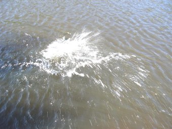 Enlarge photo 163