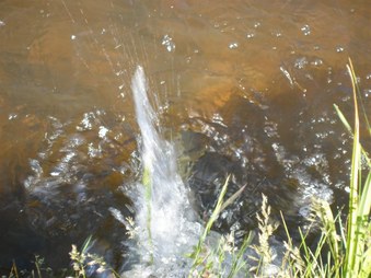 Enlarge photo 188