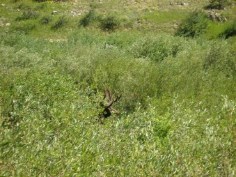 Enlarge photo 189