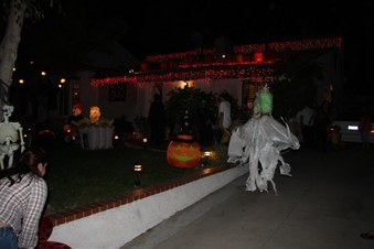 Enlarge photo 77