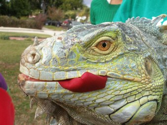 Hedy's 7th Birthday Party