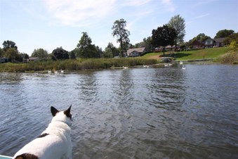 Enlarge photo 551