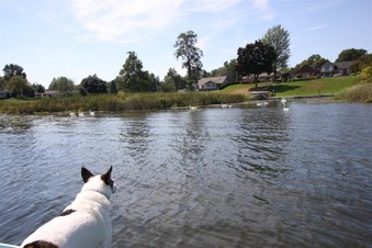 Enlarge photo 552
