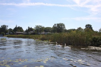 Enlarge photo 568