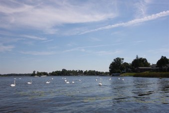 Enlarge photo 569