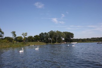 Enlarge photo 570