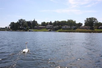 Enlarge photo 571