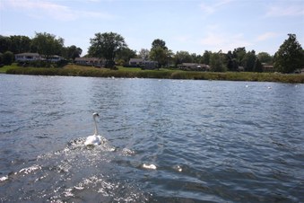 Enlarge photo 572