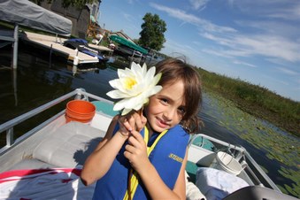 Enlarge photo 584
