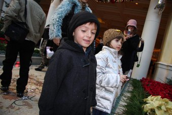 Enlarge photo 28