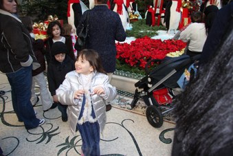 Enlarge photo 30