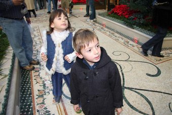 Enlarge photo 53