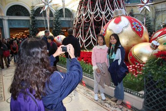 Enlarge photo 62