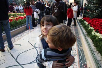Enlarge photo 70