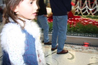 Enlarge photo 71