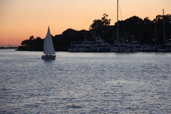 Enlarge photo 39