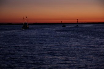 Enlarge photo 47