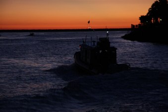 Enlarge photo 48
