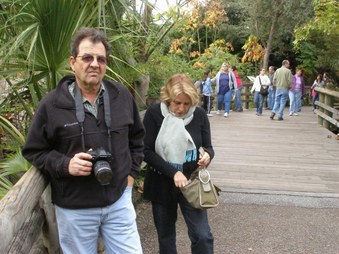 Enlarge photo 28