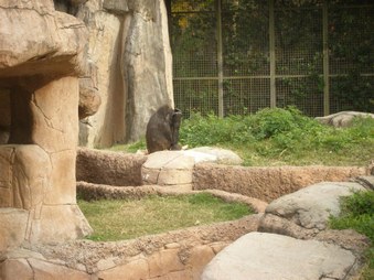 Enlarge photo 32