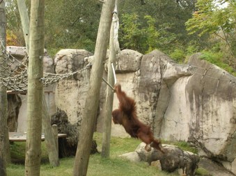 Enlarge photo 33