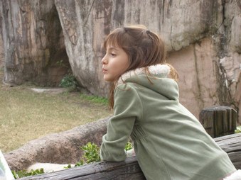 Enlarge photo 34