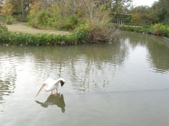 Enlarge photo 43