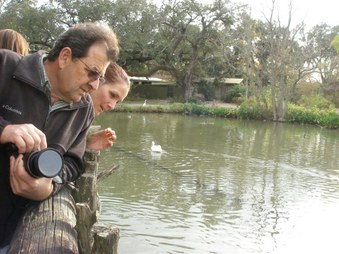 Enlarge photo 44