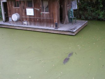 Enlarge photo 67