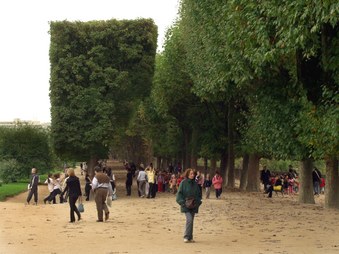 Enlarge photo 30
