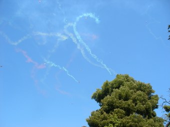 Enlarge photo 10