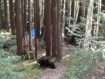 Enlarge photo 36