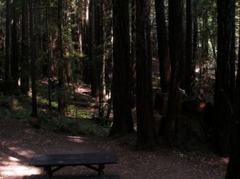 Enlarge photo 38