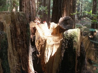 Enlarge photo 42
