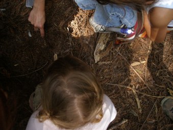 Enlarge photo 107